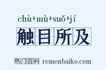 触目所及是什么意思的图片